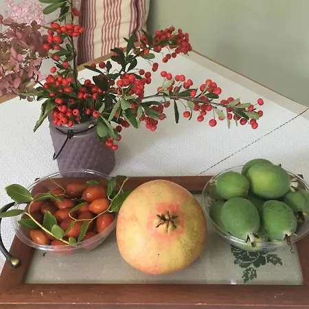 Country House Steffany Lodge San Pietro Di Feletto